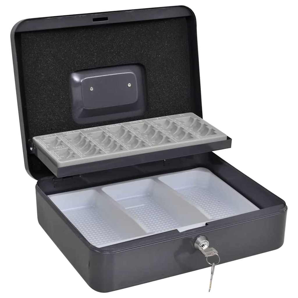 Cash Box with Lock Black 30 x 24 x 9 cm Steel
