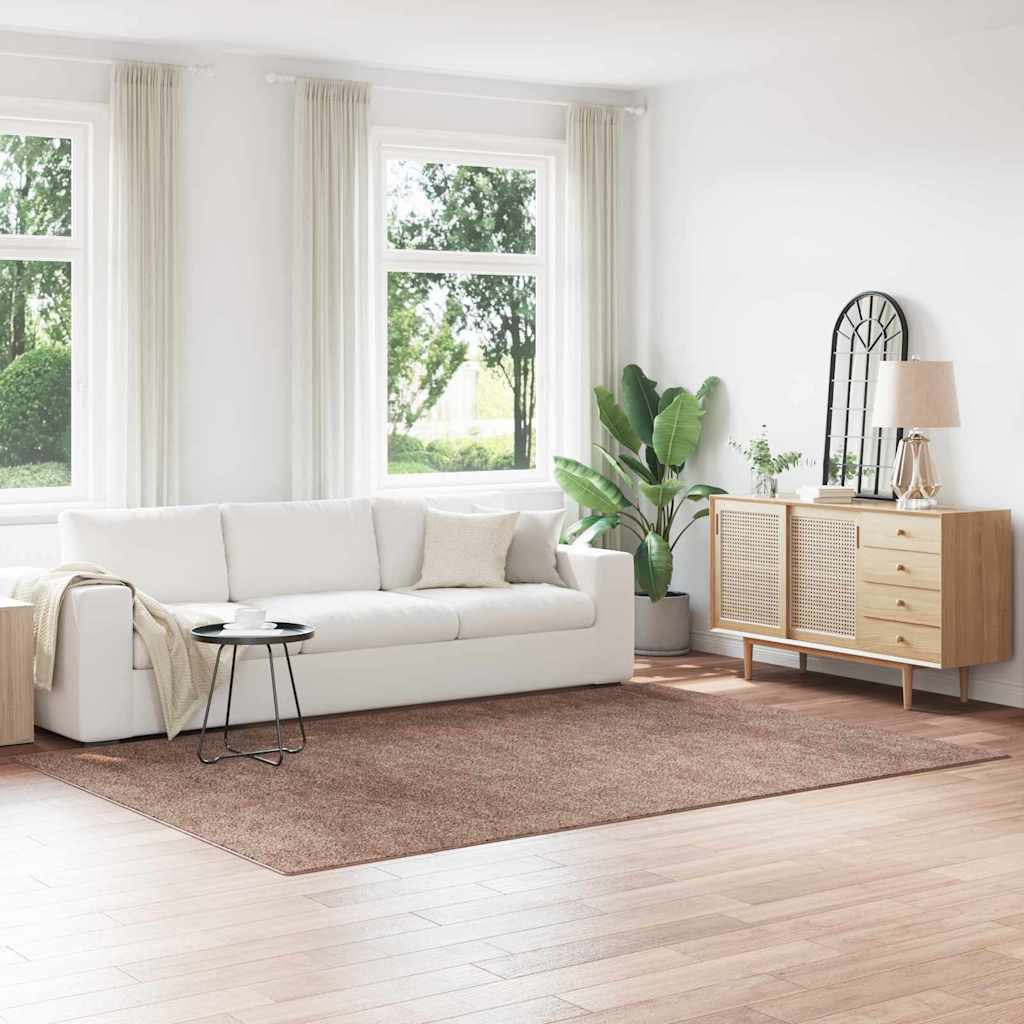 Anti-slip Shaggy Rug Brown 200 x 290 cm PP